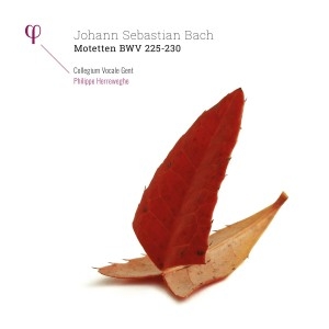 CD Shop - BACH, JOHANN SEBASTIAN MOTETTEN BWV 225-230