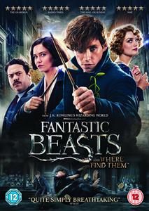 CD Shop - MOVIE FANTASTIC BEASTS AND WHERE TO FIND THEM