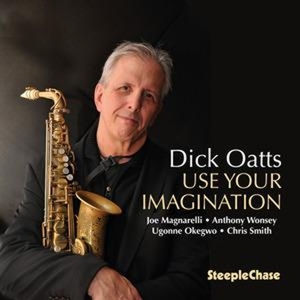 CD Shop - OATTS, DICK USE YOUR IMAGINATION