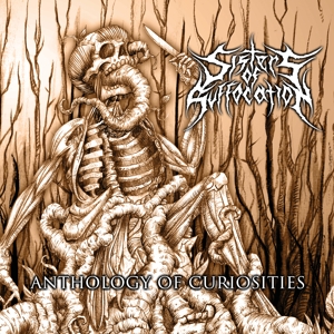 CD Shop - SISTERS OF SUFFOCATION ANTHOLOGY OF CURIOSITIES