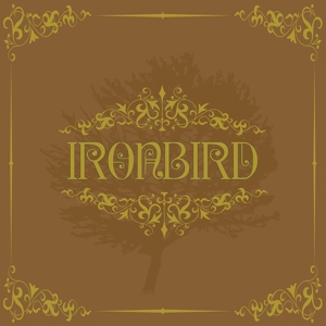 CD Shop - IRONBIRD IRONBIRD