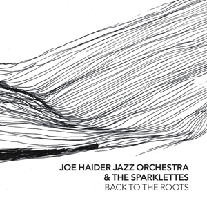 CD Shop - HAIDER, JOE -JAZZ ORCHEST BACK TO THE ROOTS