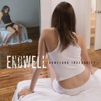 CD Shop - ENDWELL HOMELAND INSECURITY