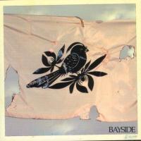 CD Shop - BAYSIDE THE WALKING WOUNDED