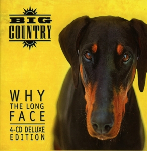 CD Shop - BIG COUNTRY WHY THE LONG FACE