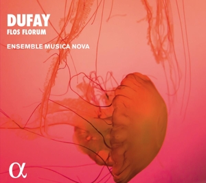 CD Shop - DUFAY, G. FLOS FLORUM