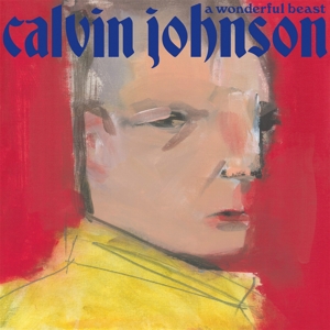 CD Shop - JOHNSON, CALVIN A WONDERFUL BEAST