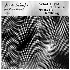CD Shop - SCHAEFER, JANEK WHAT LIGHT THERE IS TELLS US NOTHING