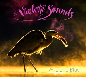 CD Shop - VIOLETTE SOUNDS WILD AND BLUE