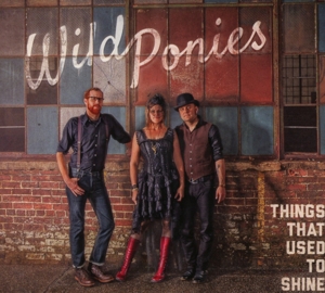 CD Shop - WILD PONIES THINGS THAT USED TO SHINE