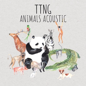 CD Shop - TTNG ANIMALS ACOUSTIC