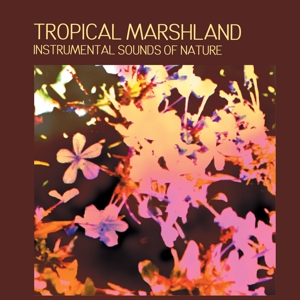 CD Shop - SOUND EFFECTS TROPICAL MARSHLAND
