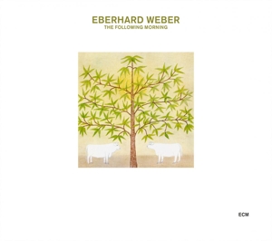 CD Shop - WEBER, EBERHARD FOLLOWING MORNING