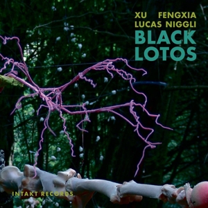 CD Shop - FENGXIA, XU BLACK LOTOS