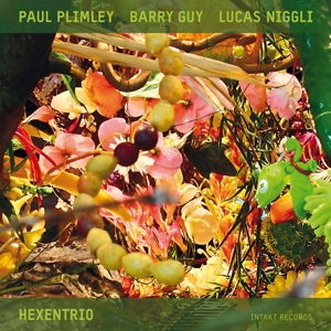 CD Shop - PLIMLEY/GUY/NIGGLI HEXENTRIO