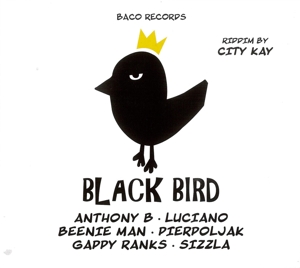 CD Shop - V/A BIG SLAP & BLACK BIRD RIDDIMS BY CITY KAY