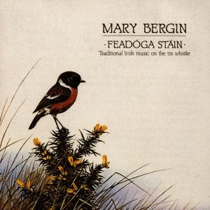 CD Shop - BERGIN, MARY FEADOGA STAIN