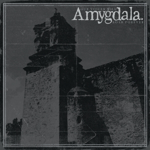 CD Shop - AMYGDALA OUR VOICES WILL SOAR FOREVER