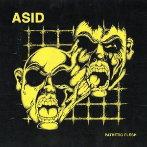 CD Shop - ASID PATHETIC FLESH