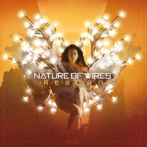 CD Shop - NATURE OF WIRES REBORN