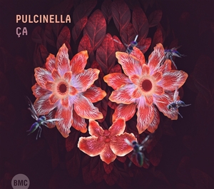 CD Shop - PULCINELLA CA