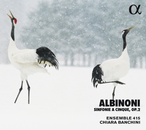 CD Shop - ALBINONI, T. SINFONIE A CINQUE OP.2