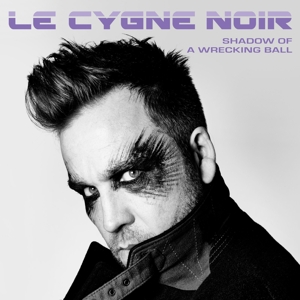 CD Shop - LE CYGNE NOIR SHADOW OF A WRECKING BALL