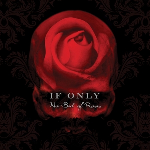 CD Shop - IF ONLY NO BED OF ROSES