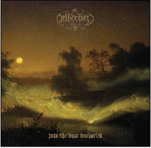 CD Shop - NETHERBIRD INTO THE VAST UNCHARTED