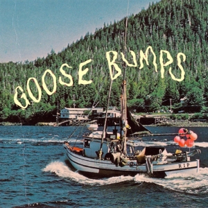 CD Shop - BOYSCOTT GOOSE BUMPS