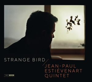 CD Shop - ESTIEVENART, JEAN-PAUL -Q STRANGE BIRD