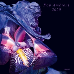 CD Shop - V/A POP AMBIENT 2020