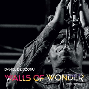 CD Shop - DZIDZONU, DANIEL WALLS OF WONDER