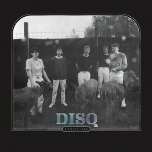 CD Shop - DISQ COLLECTOR