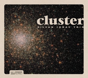 CD Shop - JORAY, SILVAN -TRIO- CLUSTER