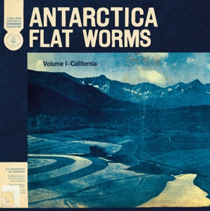 CD Shop - FLAT WORMS ANTARCTICA