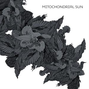 CD Shop - MITOCHONDRIAL SUN MITOCHONDRIAL SUN LT