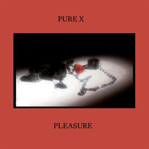 CD Shop - PURE X PLEASURE
