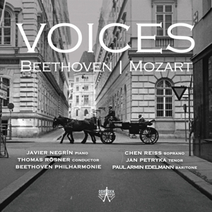CD Shop - NEGRIN, JAVIER & BEETHOVE VOICES: BEETHOVEN/MOZART