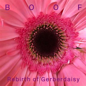 CD Shop - BOOF REBIRTH OF GERBERDAISY