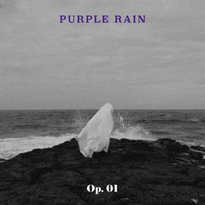 CD Shop - PURPLE RAIN OP. 01