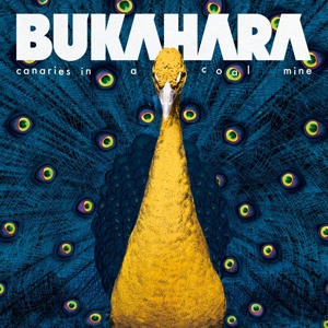 CD Shop - BUKAHARA CANARIES IN A COAL MINE