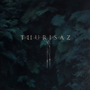 CD Shop - THURISAZ RE-INCENTIVE