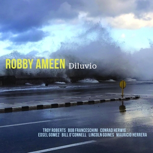 CD Shop - AMEEN, ROBBY DILUVIO
