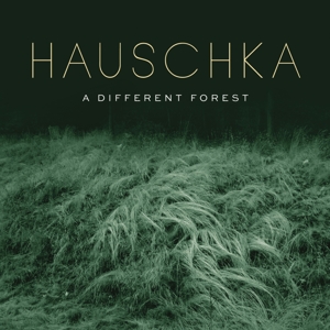 CD Shop - HAUSCHKA A DIFFERENT FOREST