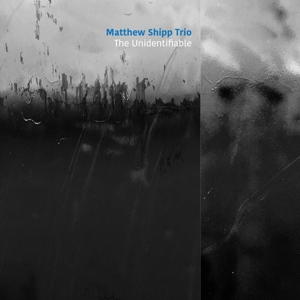 CD Shop - SHIPP, MATTHEW -TRIO- UNIDENTIFIABLE
