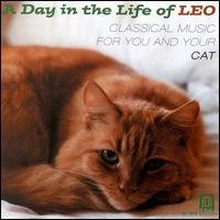 CD Shop - V/A A DAY IN THE LIFE OF LEO