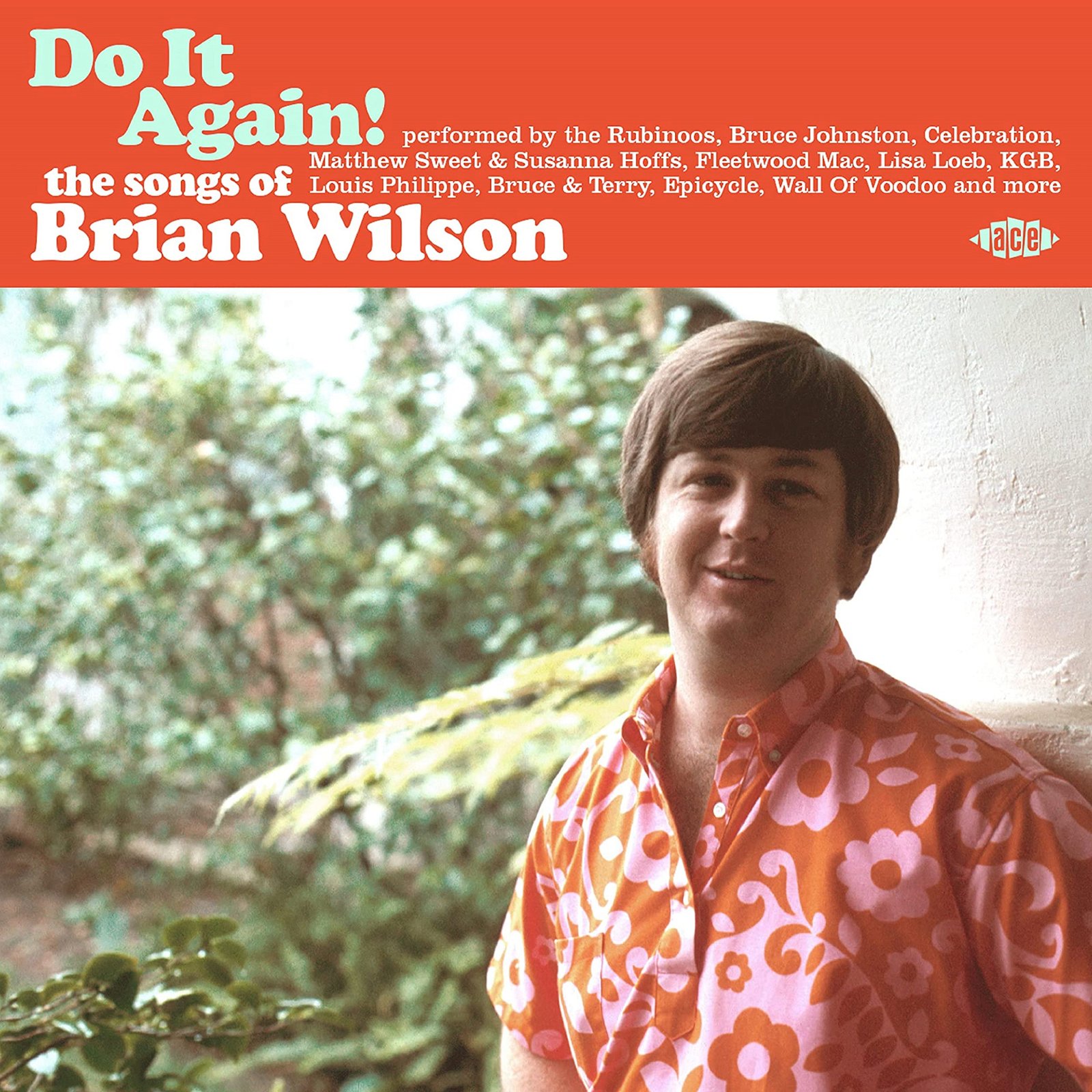 CD Shop - WILSON, BRIAN.=TRIB= DO IT AGAIN!