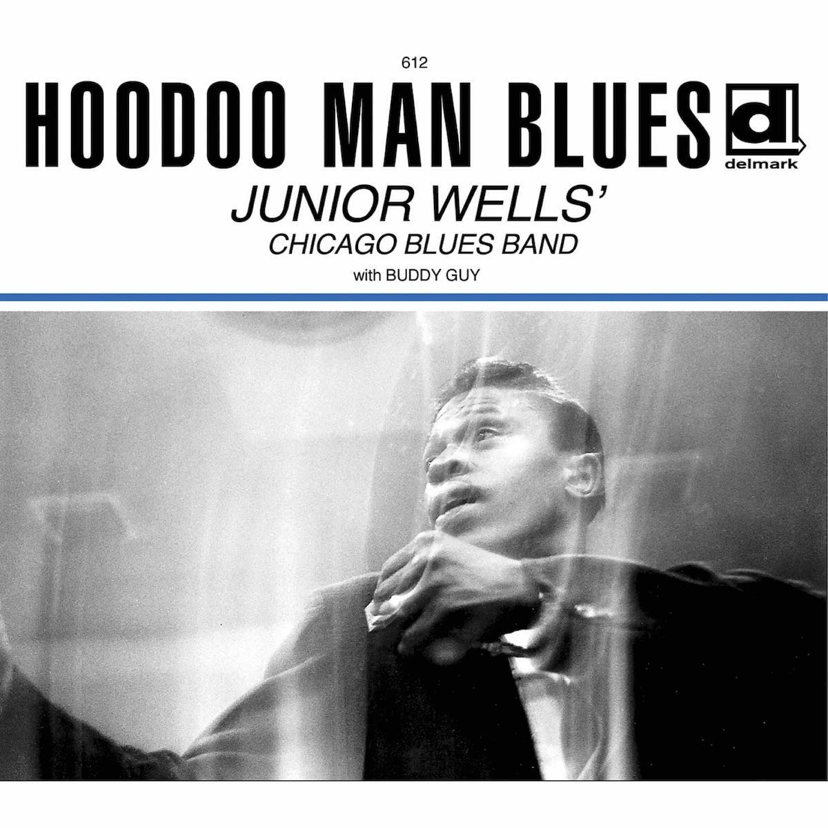 CD Shop - WELLS, JUNIOR HOODOO MAN BLUES
