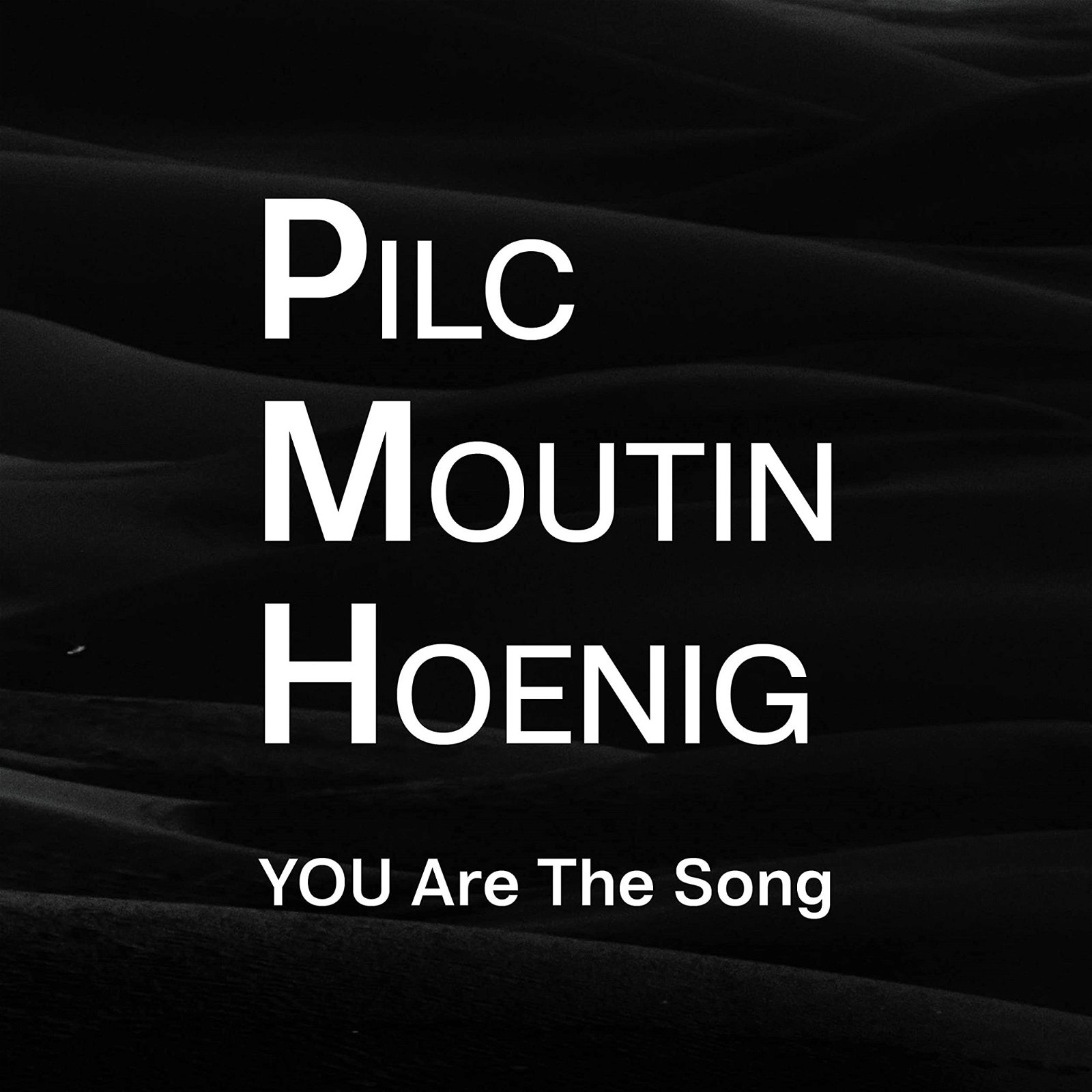 CD Shop - PILC/MOUTIN/HOENIG YOU ARE THE SONG